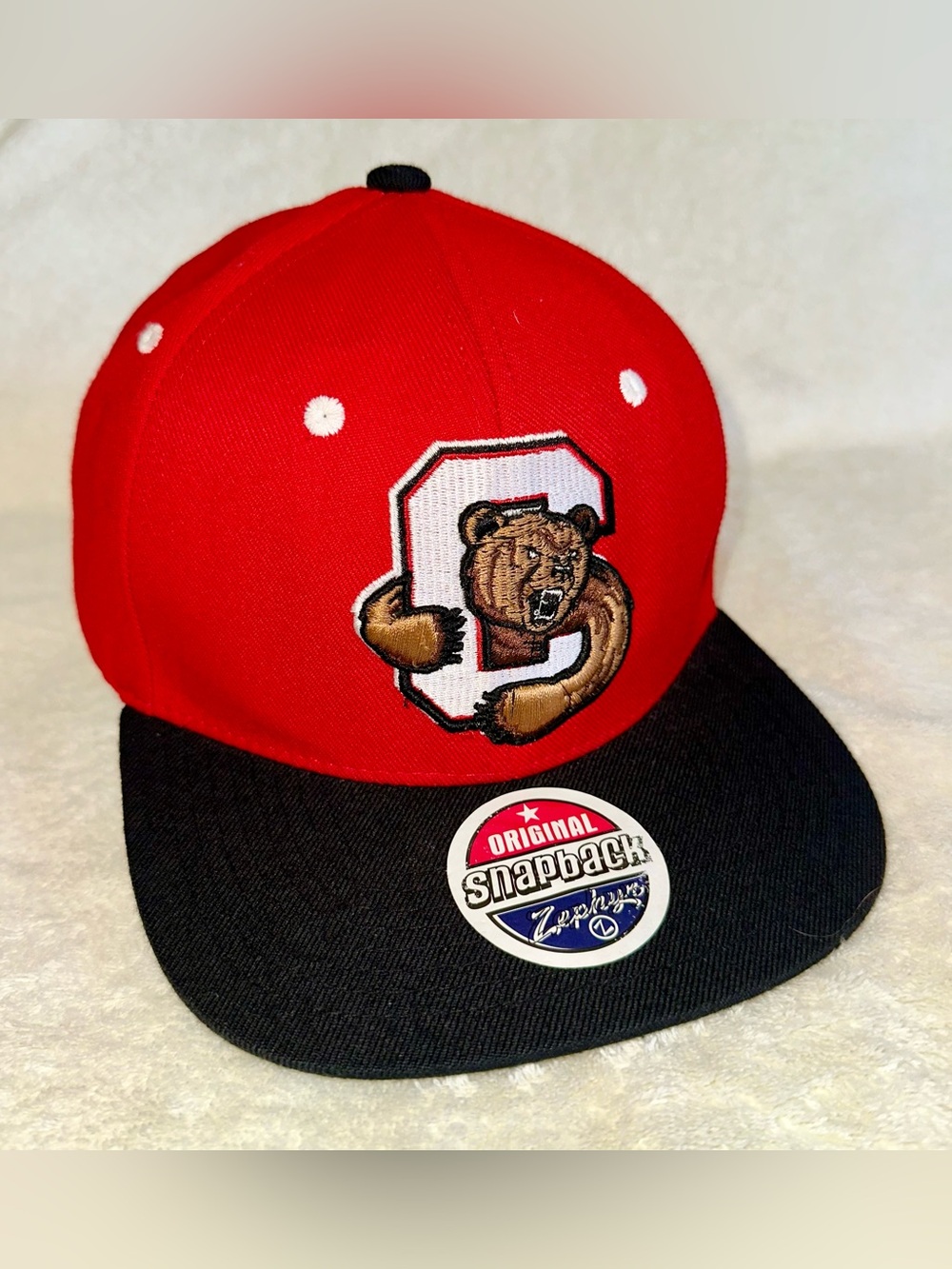 Vtg Zephyr Cornell Big Red Lacrosse Snapback Hat Cap Green Underbrim Y2K 90s